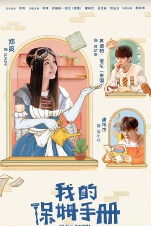 我的保姆手册