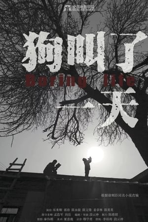 狗叫了一天