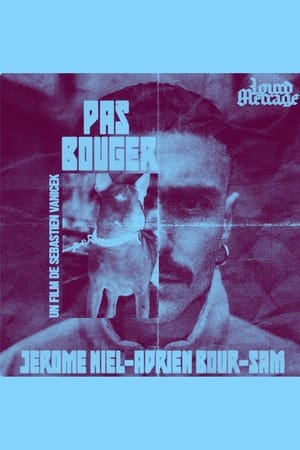 Pas Bouger
