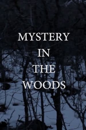 Mystery in the Woods