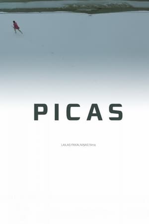 Picas