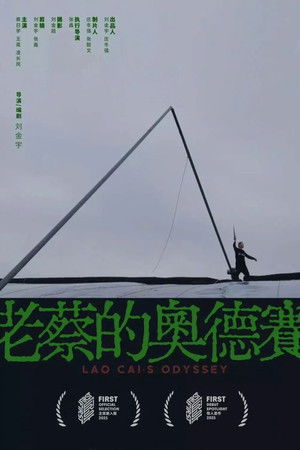 老蔡的奥德赛