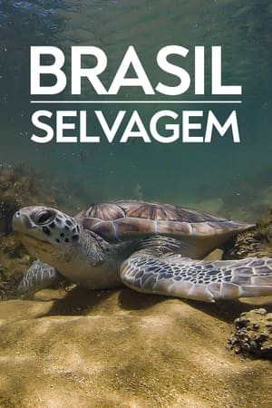 Brasil Selvagem第3季