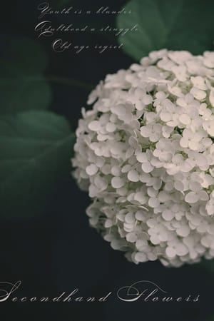 Secondhand Flowers