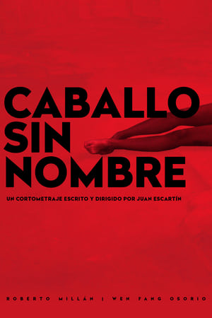 Caballo sin Nombre