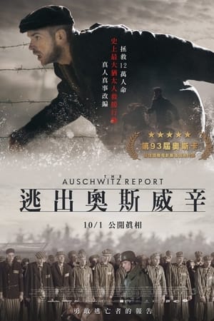 奥斯维辛报告