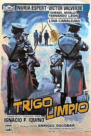 Trigo limpio