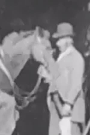 Horse Shoeing