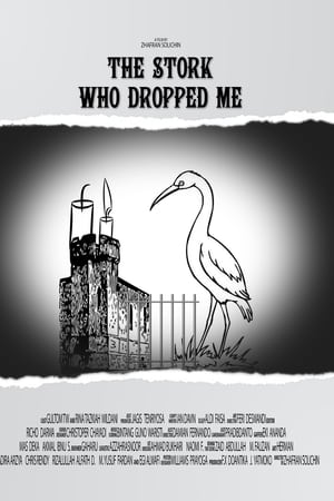 The Stork Who Dropped Me
