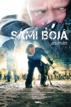 Sámi Bojá