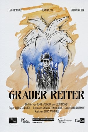 Grauer Reiter