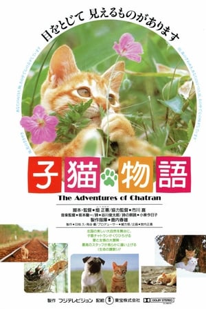 子猫物语