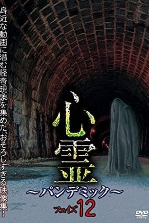心霊　～パンデミック～　フェイズ１２