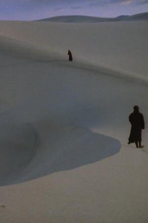 A Distant Echo