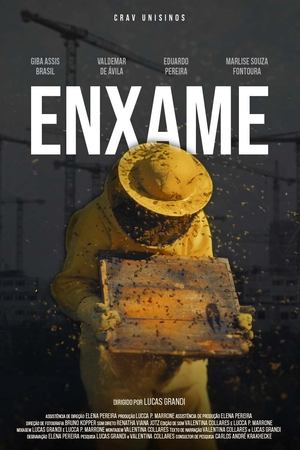 Enxame
