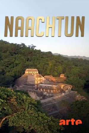 Naachtun : la cité maya oubliée