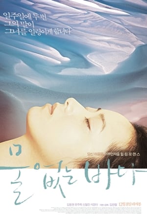 물 없는 바다