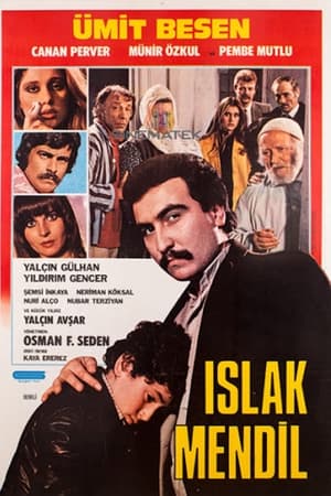 Islak Mendil