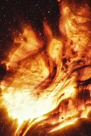 Stellar Iris