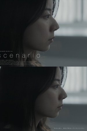 Scenario