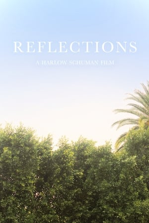 Reflections