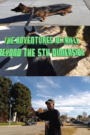 Adventures of Rifle Beyond the 5th Dimension