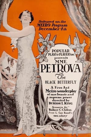 The Black Butterfly