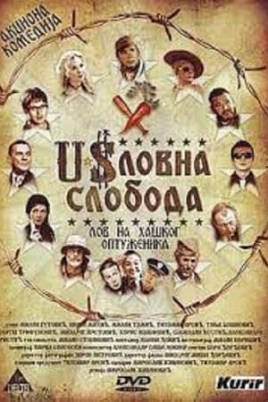 Uslovna sloboda