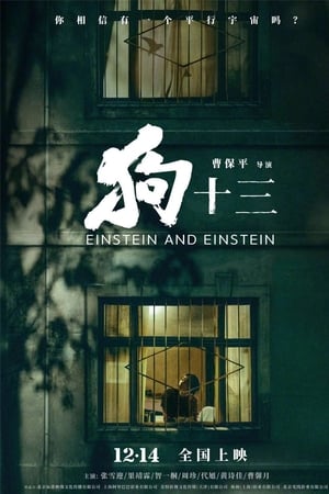 狗十三