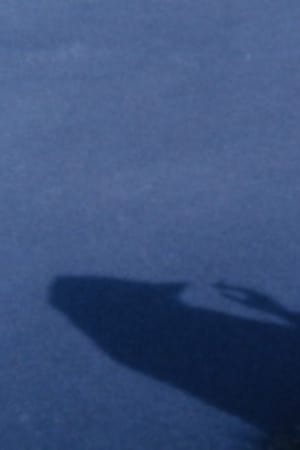 彼女たちの鳥