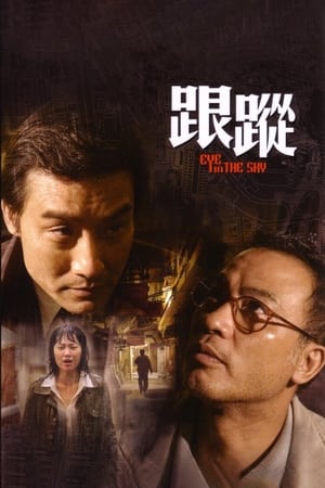 跟踪