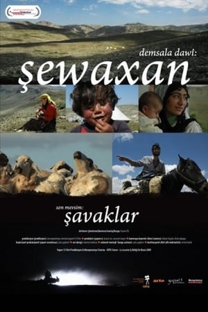 Demsala dawi: Sewaxan