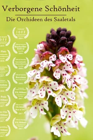 Verborgene Schönheit: Die Orchideen des Saaletals