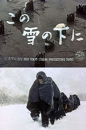 この雪の下に