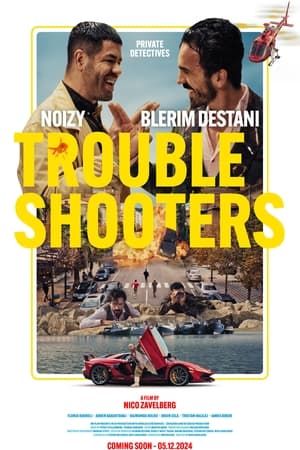 Troubleshooters
