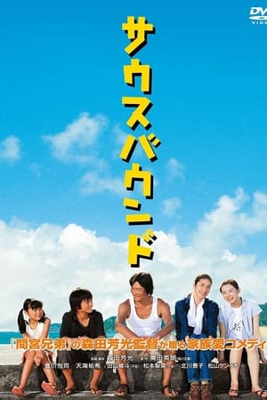 南方大作战
