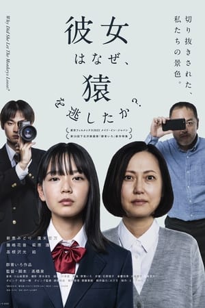 彼女はなぜ、猿を逃したか