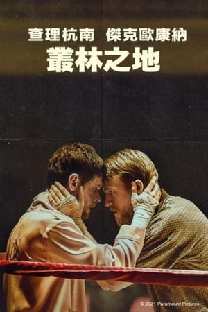 丛林之地