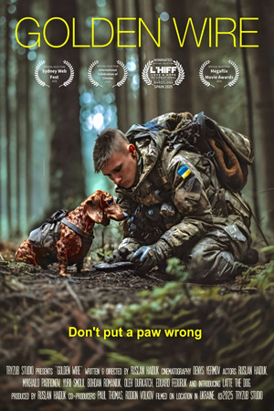 Золотий дріт