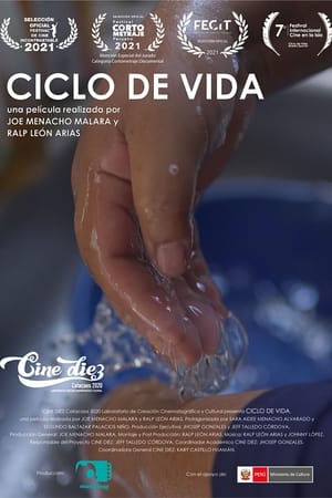 Ciclo de Vida