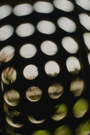 With Pluses and Minuses