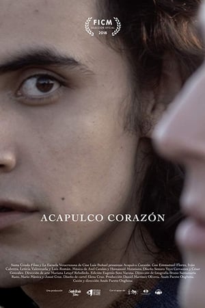 Acapulco Corazón