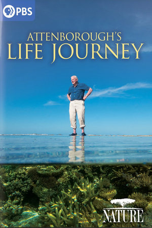 Attenborough's Life Journey