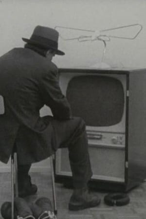 Filz TV