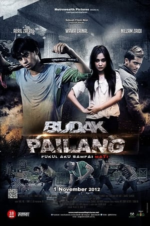 Budak Pailang