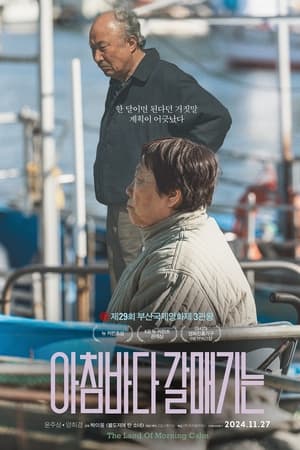 아침바다 갈매기는