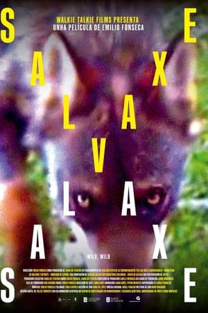 Salvaxe, Salvaxe
