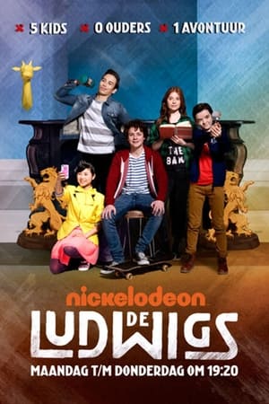 De Ludwigs