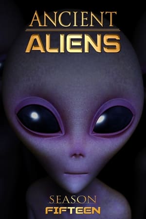 远古外星人第 15 季