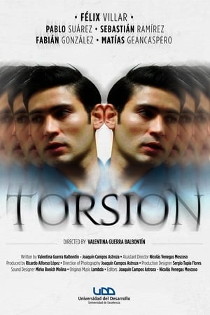 Torsión